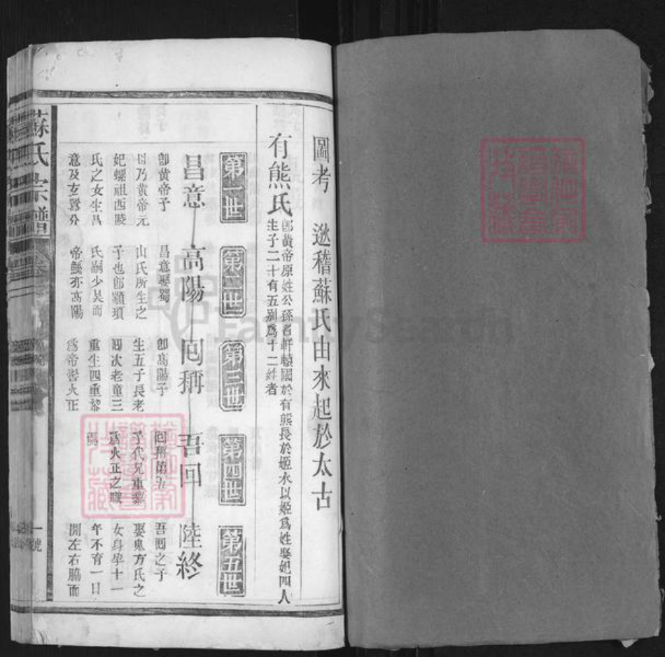 湖南省常德市桃源县苏氏族谱-苏氏宗谱.pdf电子版插图1