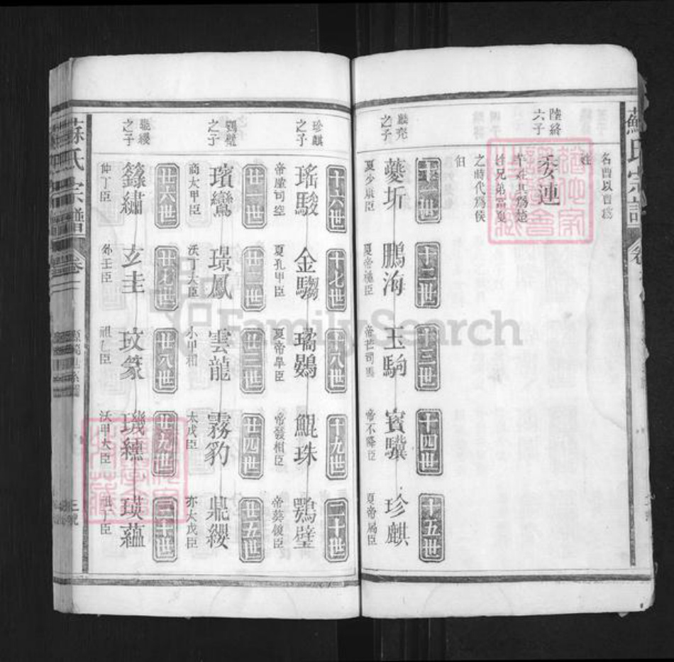 湖南省常德市桃源县苏氏族谱-苏氏宗谱.pdf电子版插图3