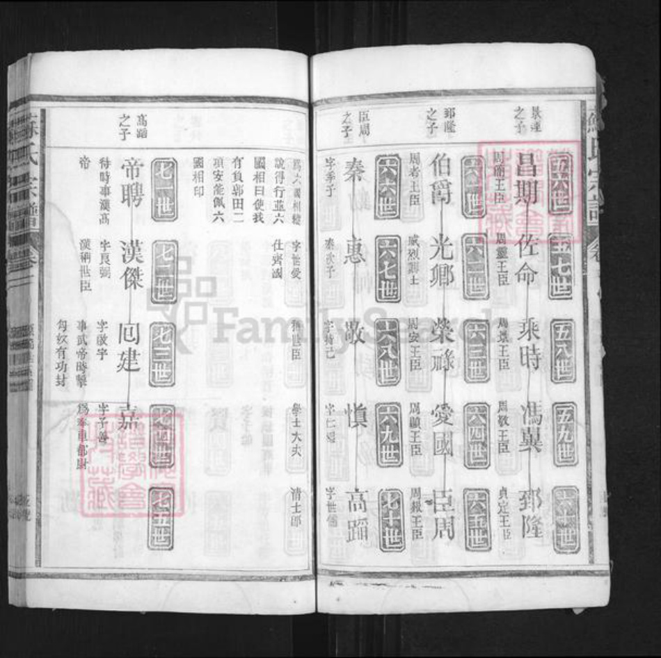 湖南省常德市桃源县苏氏族谱-苏氏宗谱.pdf电子版插图5