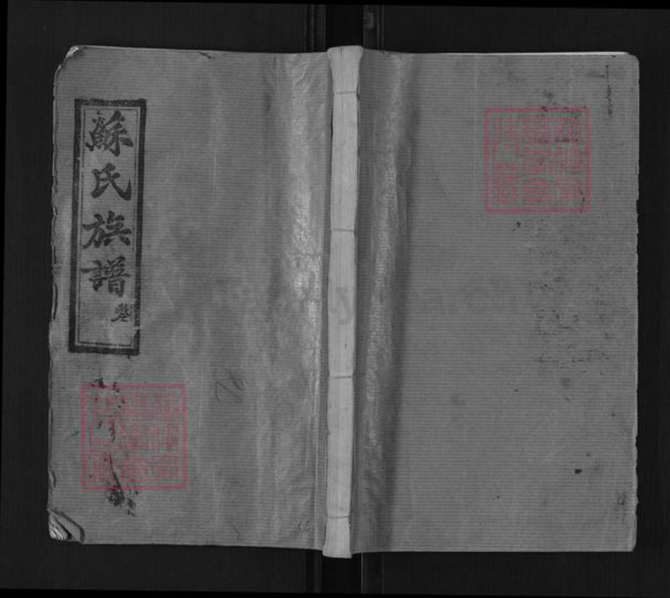 湖南省常德市临澧县新安镇苏氏眉山堂族谱-苏氏族谱.pdf电子版插图