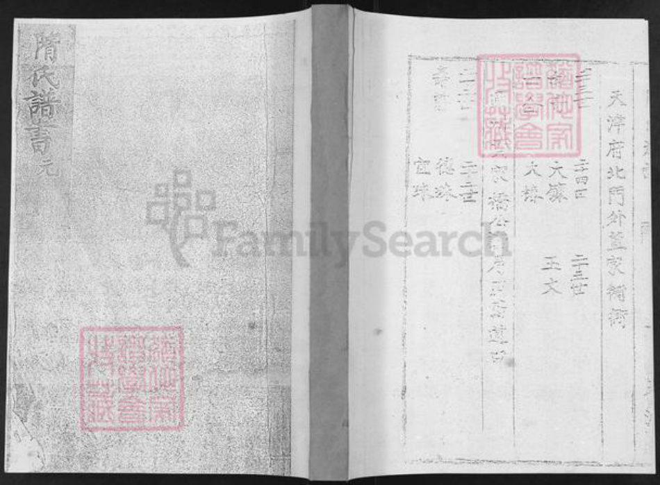 山东省烟台市栖霞市隋氏致和堂族谱-隋氏谱书.pdf电子版插图