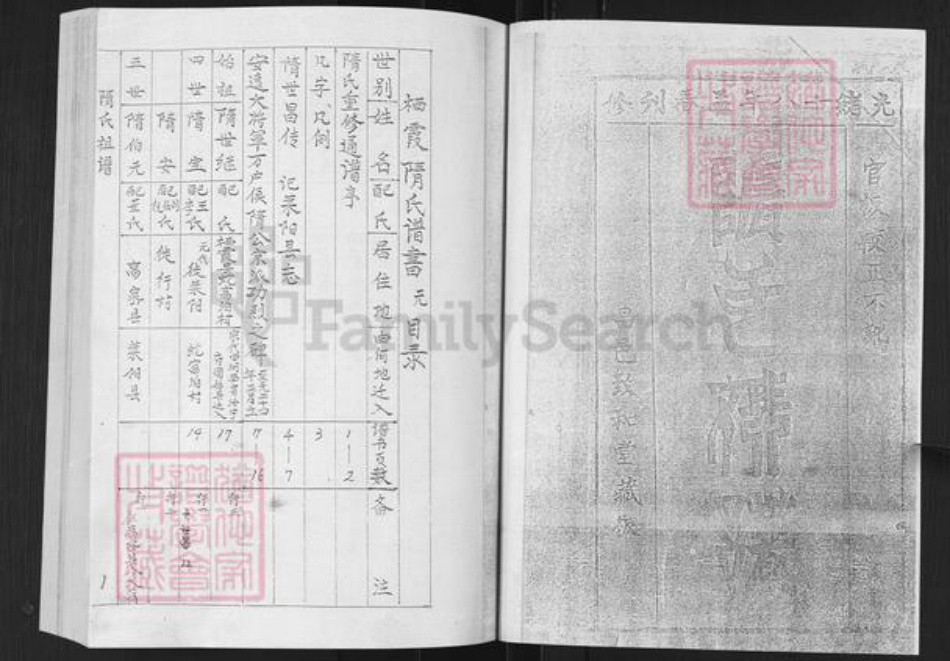 山东省烟台市栖霞市隋氏致和堂族谱-隋氏谱书.pdf电子版插图1