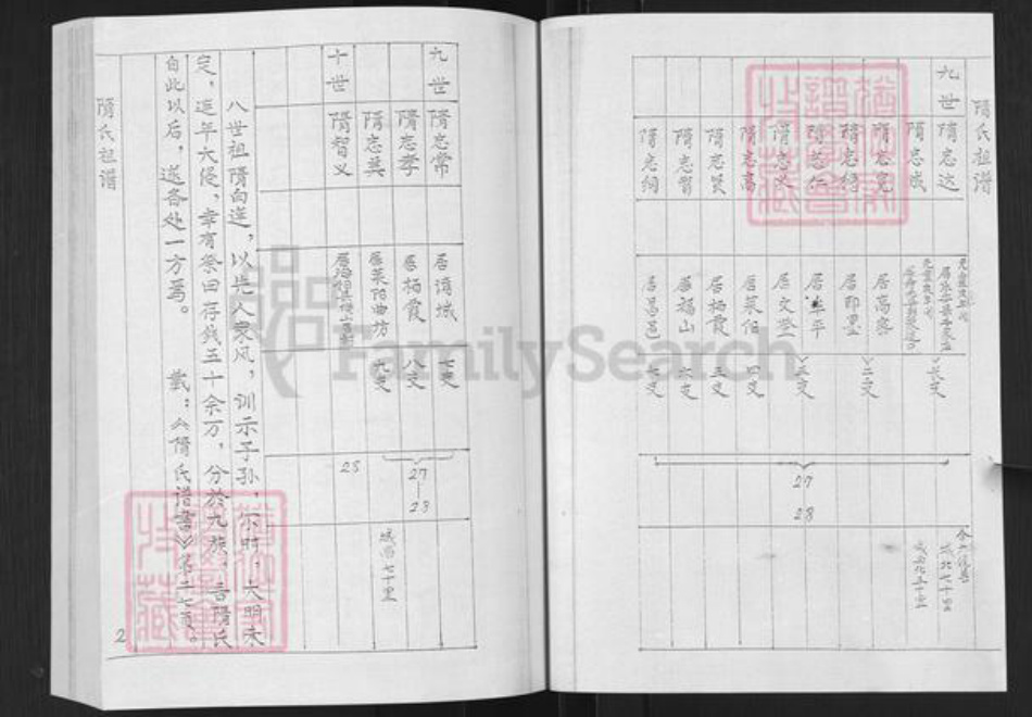 山东省烟台市栖霞市隋氏致和堂族谱-隋氏谱书.pdf电子版插图2
