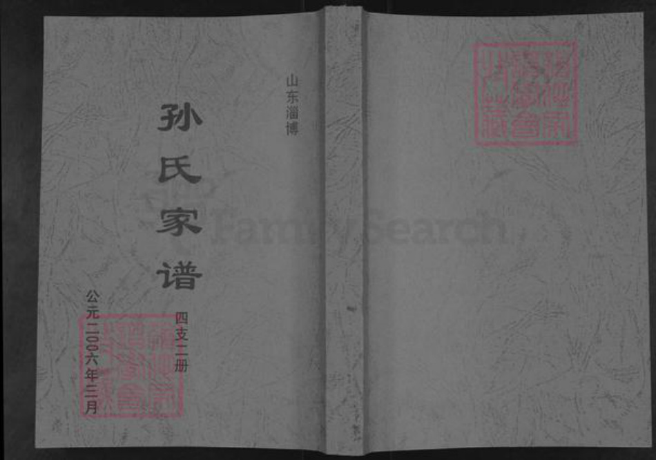 山东省淄博市博山区孙氏族谱-孙氏家谱.pdf电子版插图