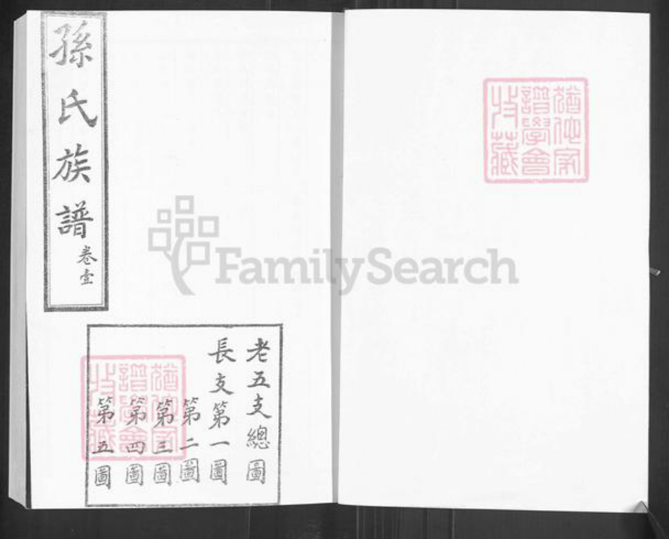 山东省泰安市肥城市新城街道孙氏族谱-孙氏世谱.pdf电子版插图2