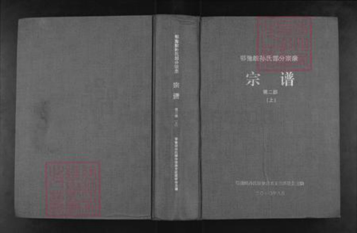 河南省信阳市商城县丰集镇孙氏族谱-鄂豫皖孙氏部分宗亲宗谱.pdf电子版插图