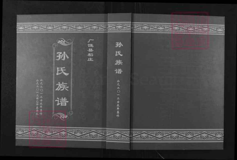 山东省东营市广饶县稻庄镇孙氏族谱-孙氏族谱.pdf电子版插图