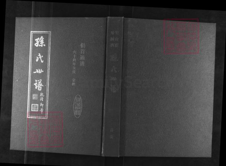 山东省淄博市桓台县孙氏族谱-孙氏世谱.pdf电子版插图