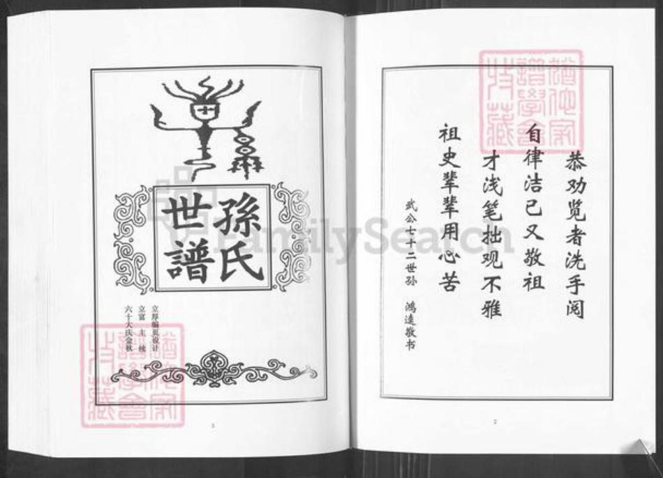 山东省淄博市桓台县孙氏族谱-孙氏世谱.pdf电子版插图2