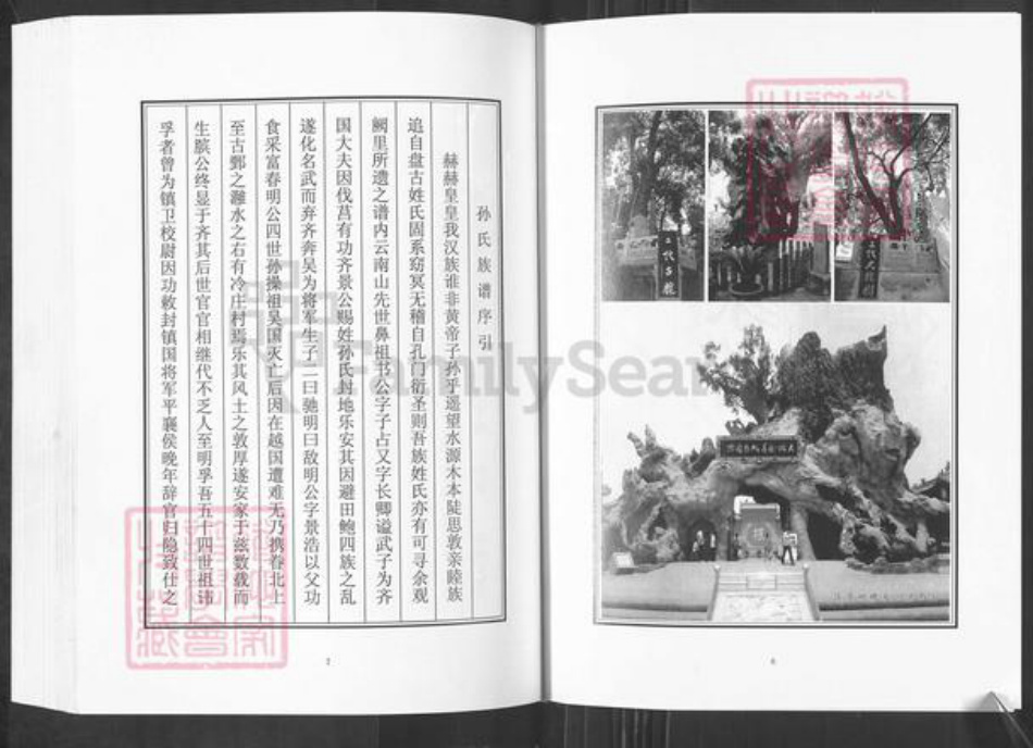山东省淄博市桓台县孙氏族谱-孙氏世谱.pdf电子版插图4