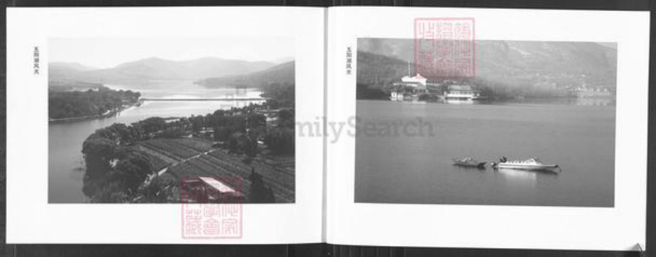 山东省淄博市博山区孙氏族谱-石马孙氏族谱.pdf电子版插图5