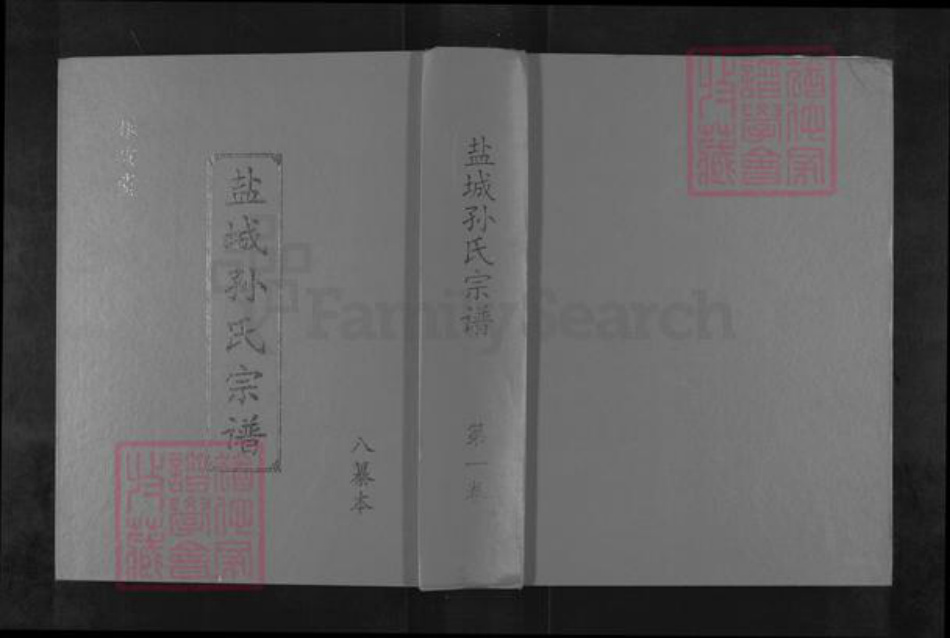 江苏省盐城市阜宁县孙氏乐安堂族谱-盐城孙氏宗谱.pdf电子版插图
