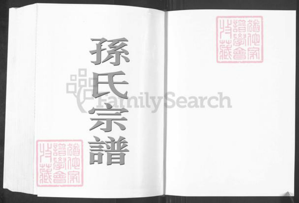 江苏省盐城市阜宁县孙氏乐安堂族谱-盐城孙氏宗谱.pdf电子版插图1