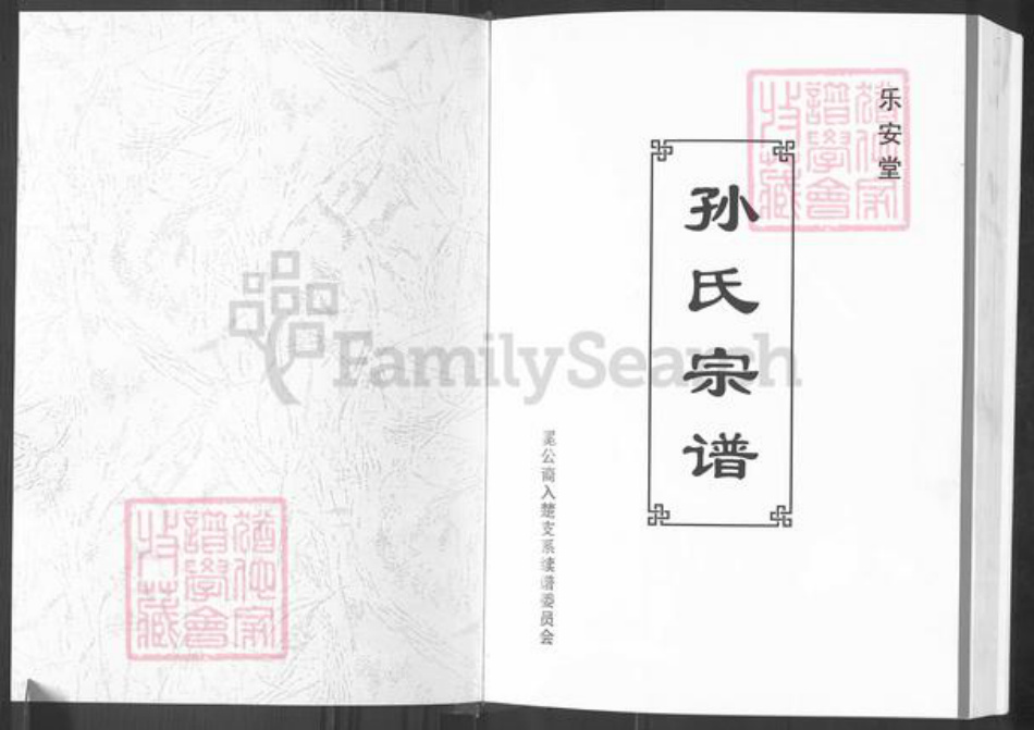 江西省吉安市新干县孙氏乐安堂族谱-孙氏宗谱.pdf电子版插图1