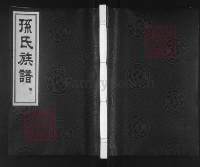山东省青岛市城阳区孙氏集义堂族谱-孙氏族谱.pdf电子版插图