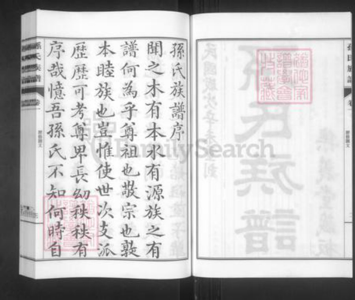 山东省青岛市城阳区孙氏集义堂族谱-孙氏族谱.pdf电子版插图4