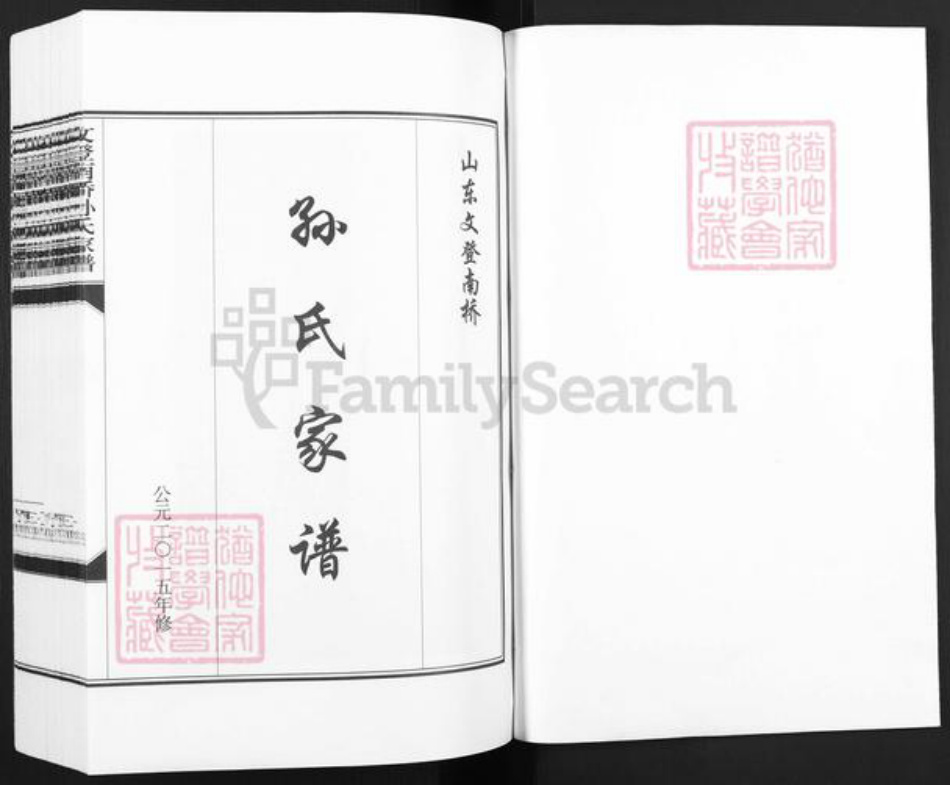 山东省威海市文登市泽头镇孙氏乐安堂族谱-文登南桥孙氏家谱.pdf电子版插图1