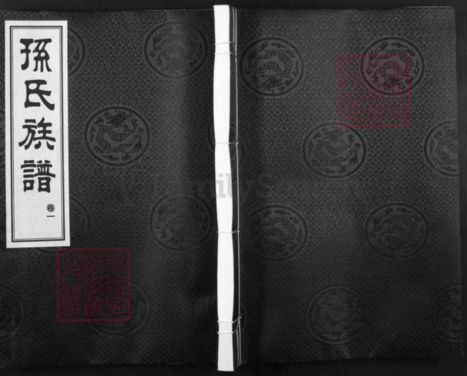 山东省青岛市城阳区孙氏集义堂族谱-孙氏族谱.pdf电子版插图