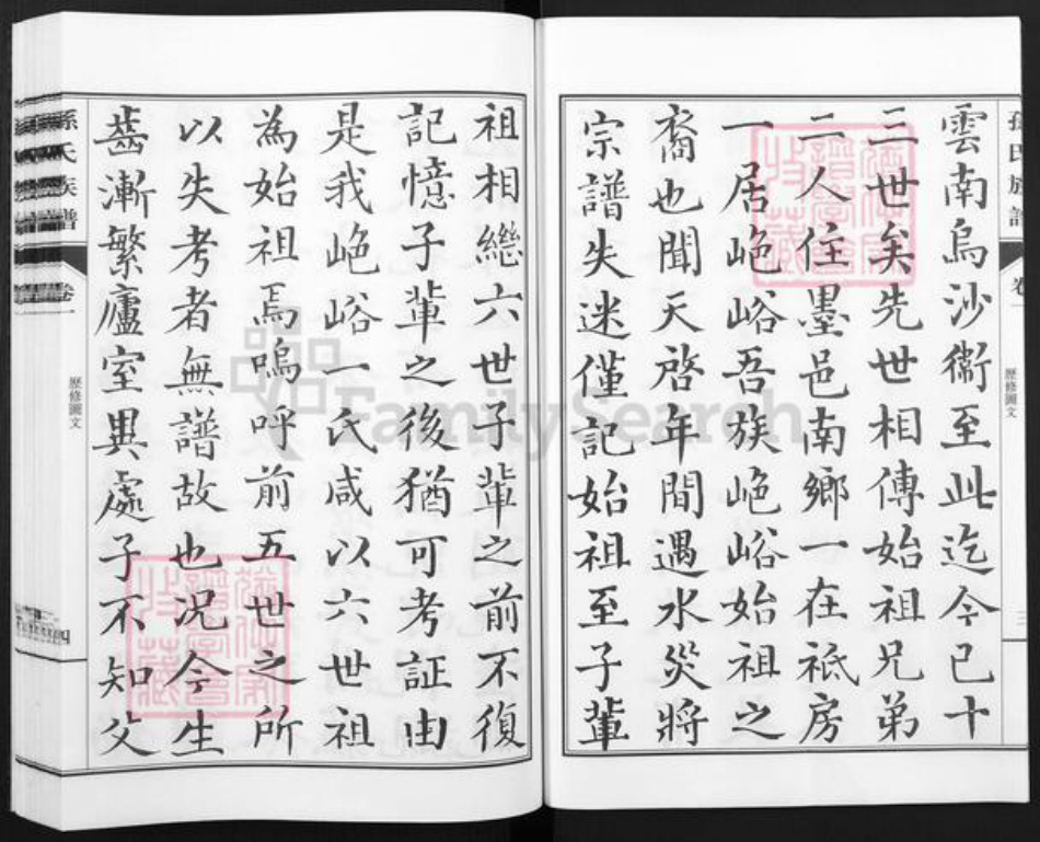 山东省青岛市城阳区孙氏集义堂族谱-孙氏族谱.pdf电子版插图5