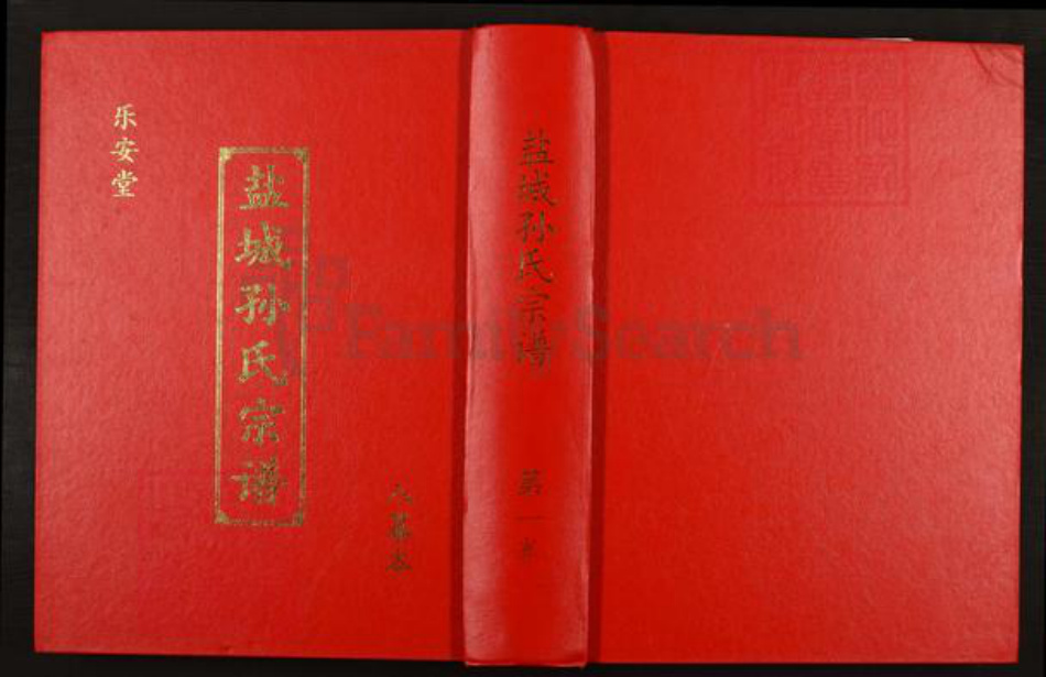 江苏省盐城市亭湖区南洋镇孙氏乐安堂族谱-盐城孙氏宗谱.pdf电子版插图