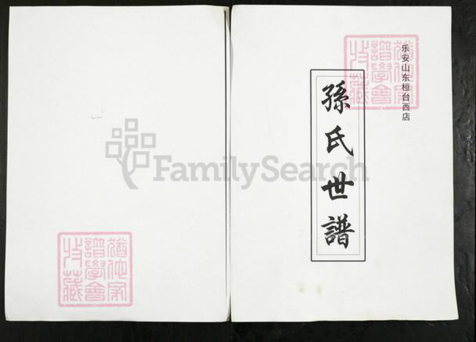 山东省淄博市桓台县果里镇孙氏族谱-孙氏世谱.pdf电子版插图