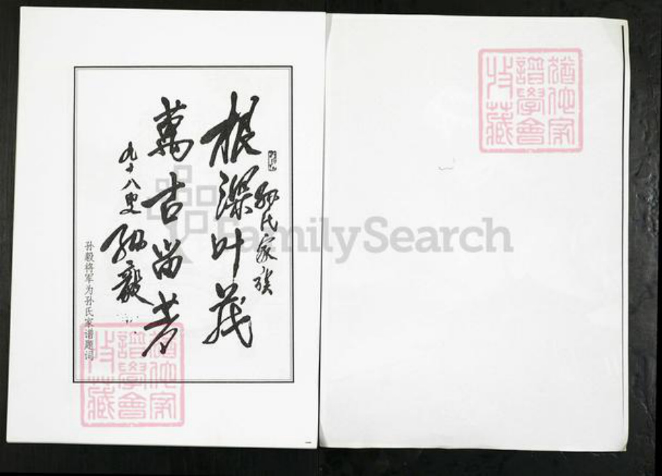 山东省淄博市桓台县果里镇孙氏族谱-孙氏世谱.pdf电子版插图2