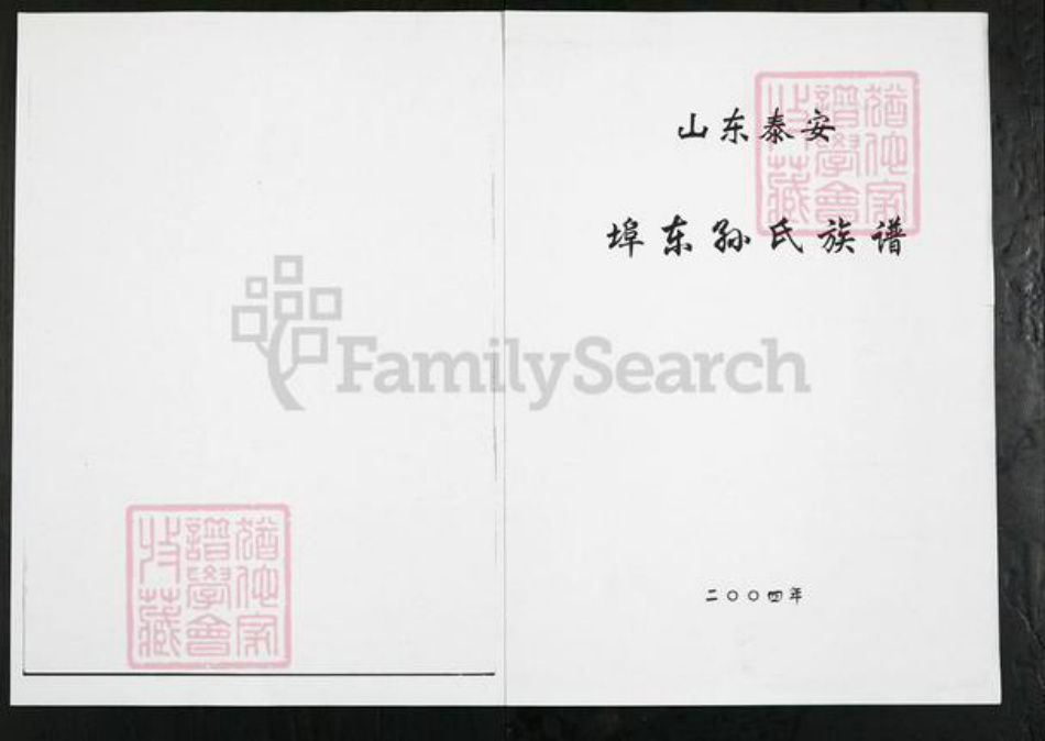 山东省泰安市岱岳区房村镇孙氏族谱-山东泰安端口东孙氏族谱.pdf电子版插图