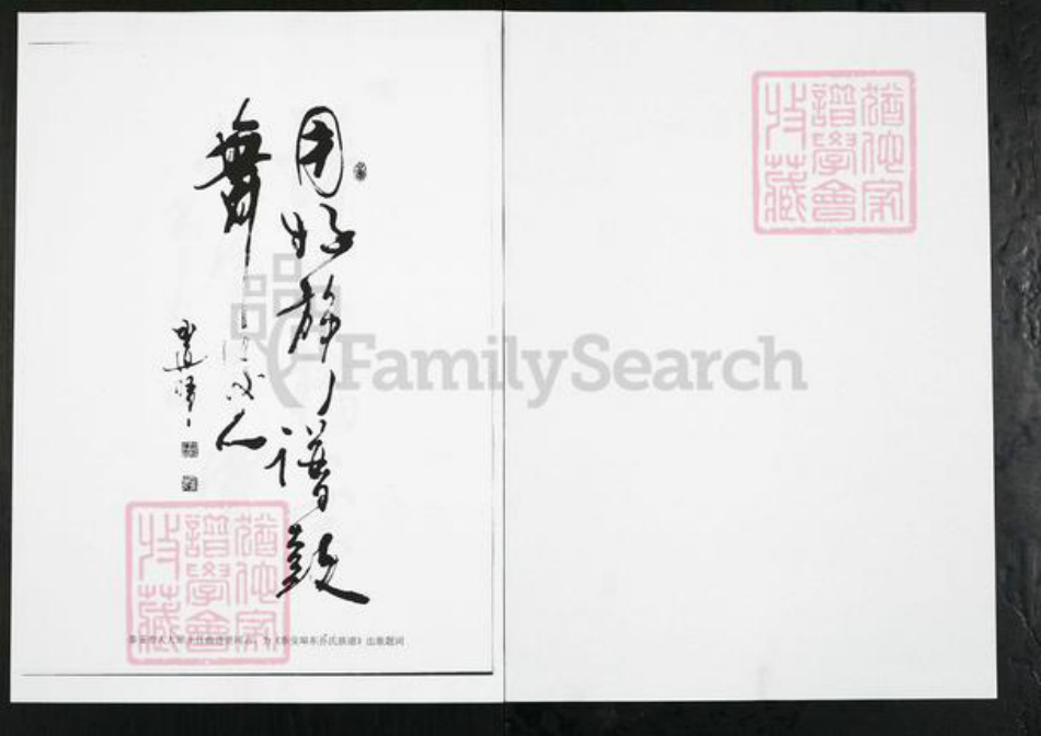 山东省泰安市岱岳区房村镇孙氏族谱-山东泰安端口东孙氏族谱.pdf电子版插图1