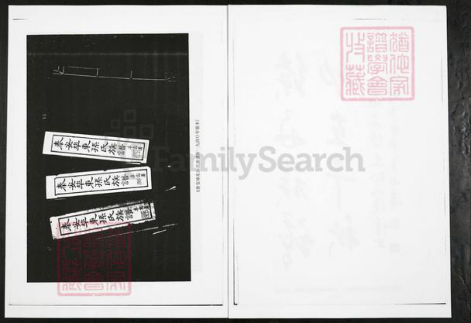 山东省泰安市岱岳区房村镇孙氏族谱-山东泰安端口东孙氏族谱.pdf电子版插图4