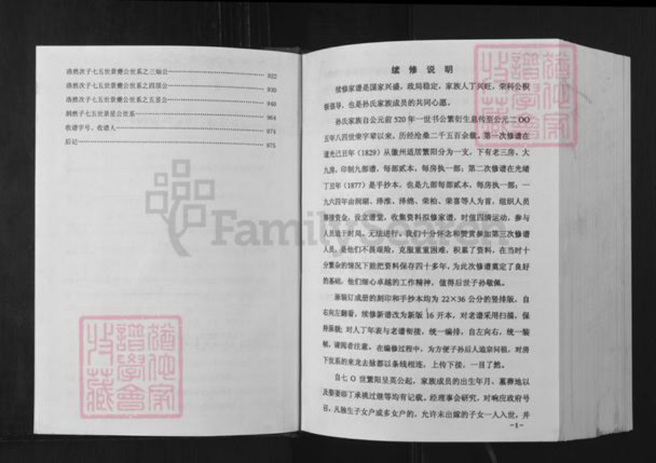 安徽省芜湖市繁昌县新港孙氏族谱-孙氏家谱.pdf电子版插图2