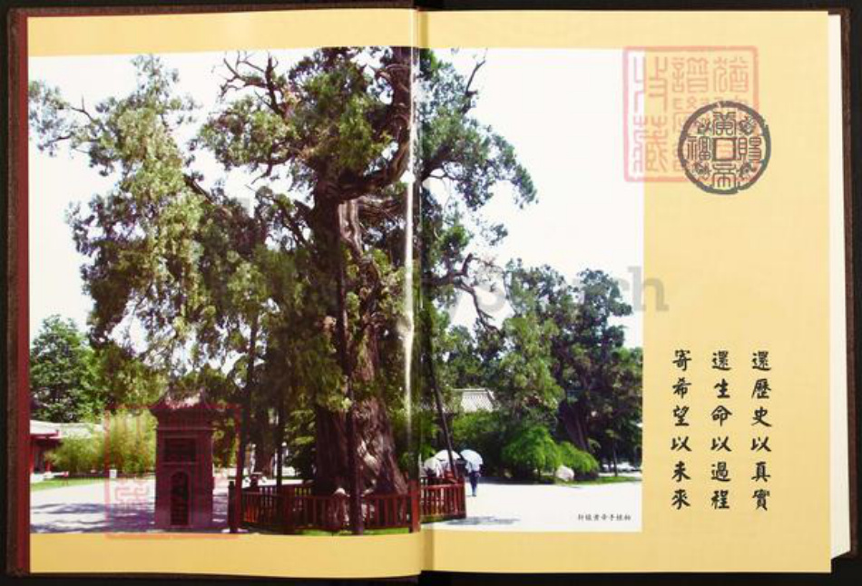 陕西省延安市黄陵县陕西省延安市黄陵县孙；孙氏平治堂族谱-黄陵太贤孙氏族谱.pdf电子版插图2