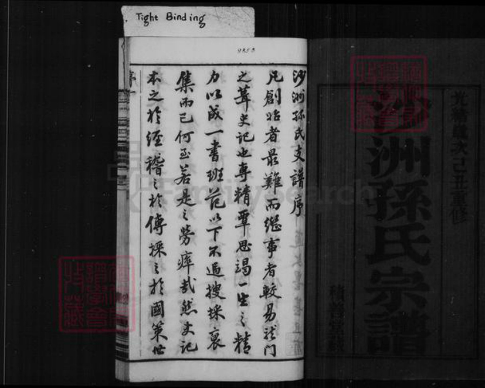 江苏省苏州市张家港市孙氏积善堂族谱-沙洲孙氏宗谱 [16卷].pdf电子版插图2