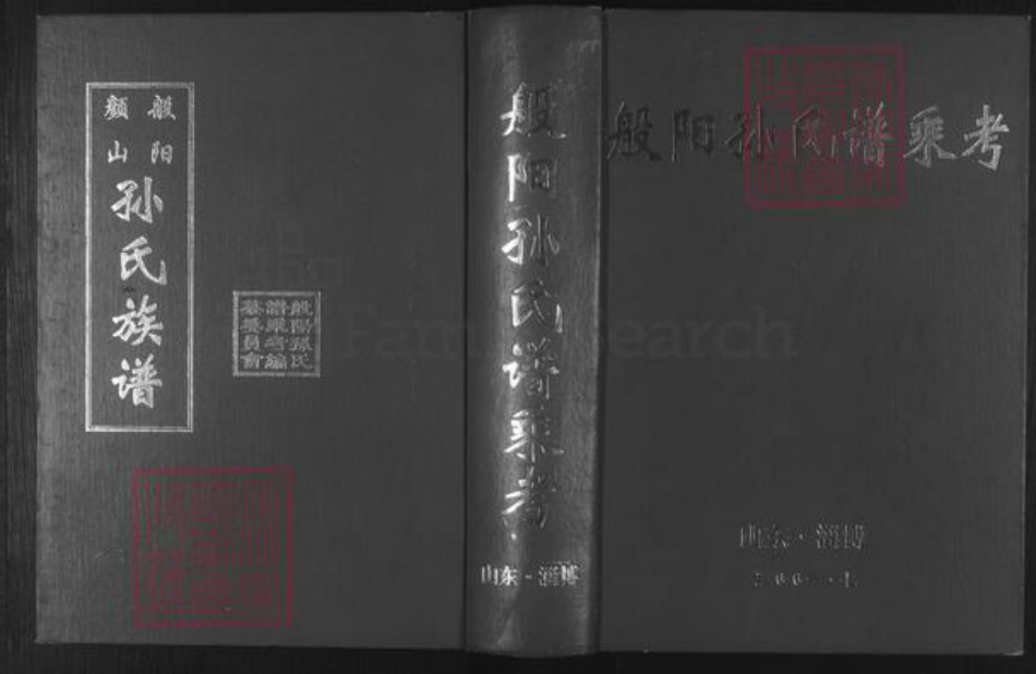 山东省淄博市孙氏族谱-般阳颜山孙氏谱乘考 [不分卷].pdf电子版插图