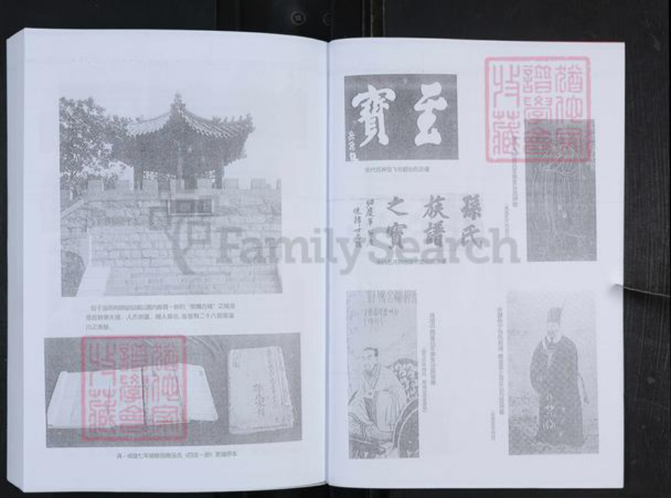 山东省淄博市博山区孙氏族谱-般阳孙氏家谱.pdf电子版插图3