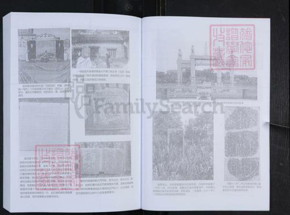 山东省淄博市博山区孙氏族谱-般阳孙氏家谱.pdf电子版插图5