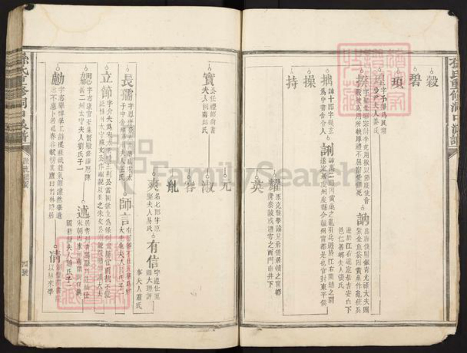 江西省吉安市泰和市苑前镇孙氏族谱-孙氏重修洞口派谱.pdf电子版插图4