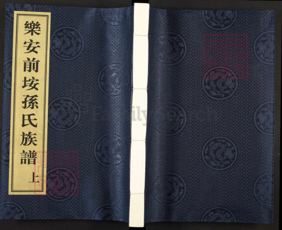 福建省厦门市翔安区内厝镇孙氏乐安堂族谱-乐安前埯孙氏族谱.pdf电子版插图