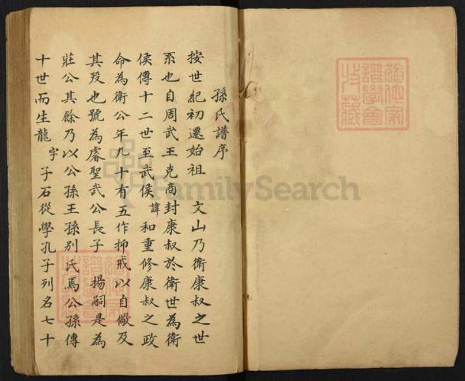 山东省济南市平阴县孙氏族谱-孙氏家乘.pdf电子版插图4