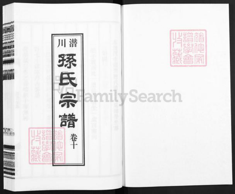 安徽省合肥市庐江县孙氏宝翰堂族谱-潜川孙氏宗谱.pdf电子版插图1