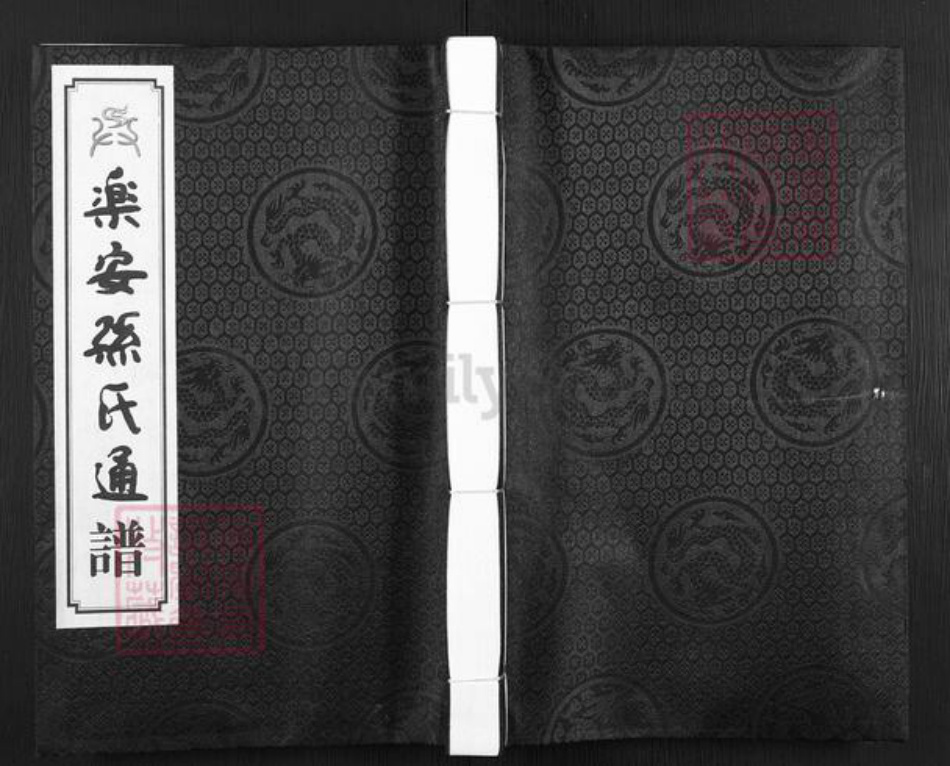 山东省滨州市惠民县惠民孙氏乐安堂族谱-乐安孙氏通谱.pdf电子版插图