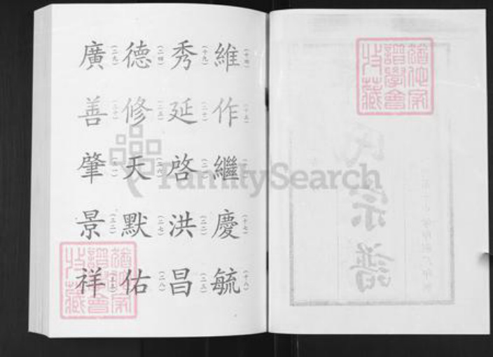 山东省淄博市淄川区谭氏族谱-谭氏宗谱.pdf电子版插图2