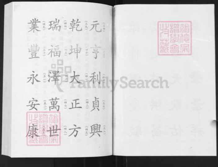 山东省淄博市淄川区谭氏族谱-谭氏宗谱.pdf电子版插图3