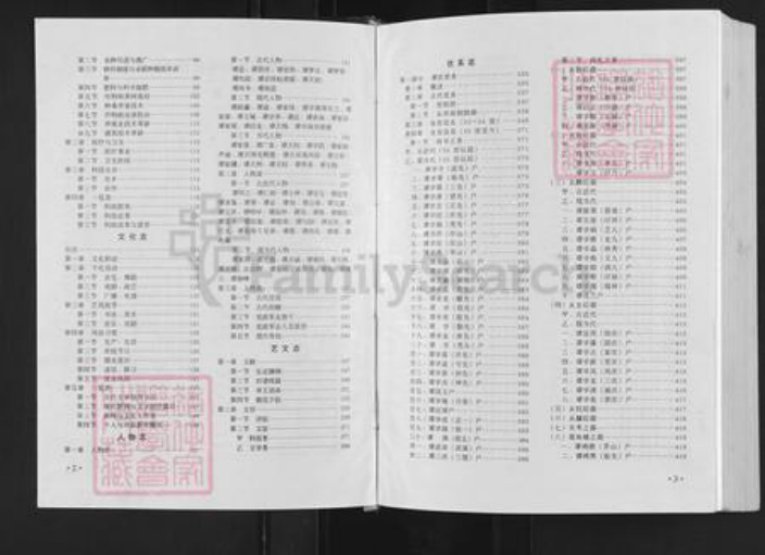 江西省吉安市永新县浬田镇谭氏族谱-永新澧田谭村村谱.pdf电子版插图3