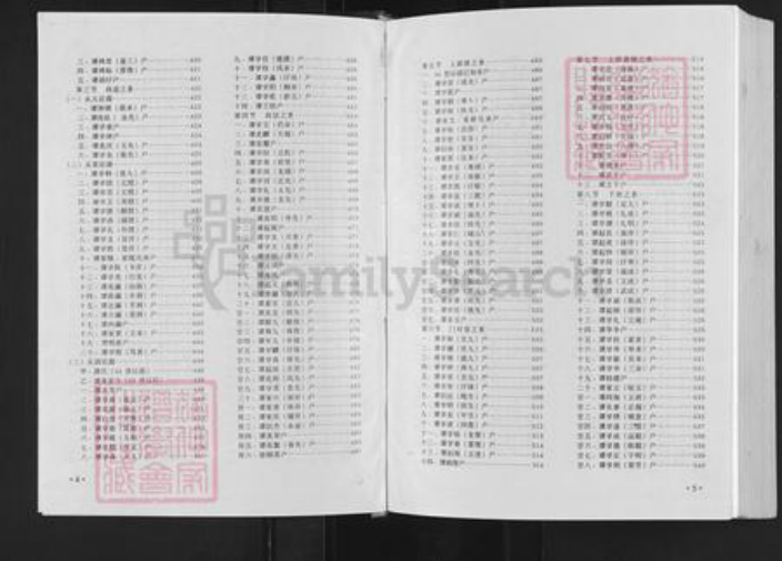 江西省吉安市永新县浬田镇谭氏族谱-永新澧田谭村村谱.pdf电子版插图4