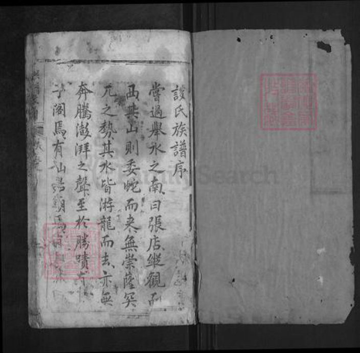 湖北省武汉市新洲区谈氏族谱-谈氏宗谱.pdf电子版插图1