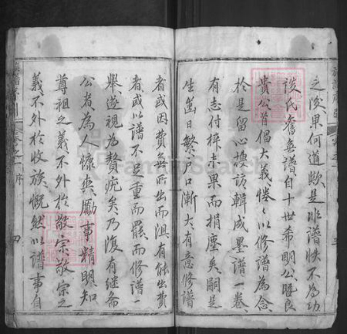 湖北省武汉市新洲区谈氏族谱-谈氏宗谱.pdf电子版插图4
