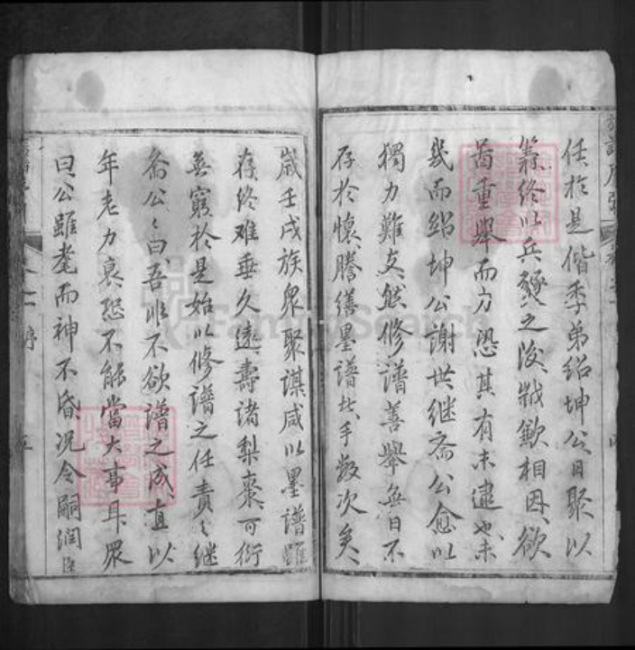 湖北省武汉市新洲区谈氏族谱-谈氏宗谱.pdf电子版插图5