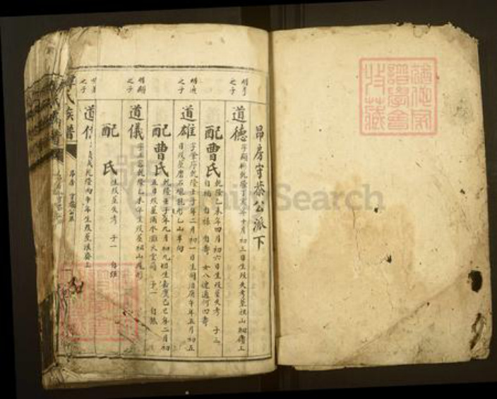 湖南省郴州市资兴市谭氏族谱-谭氏族谱.pdf电子版插图1