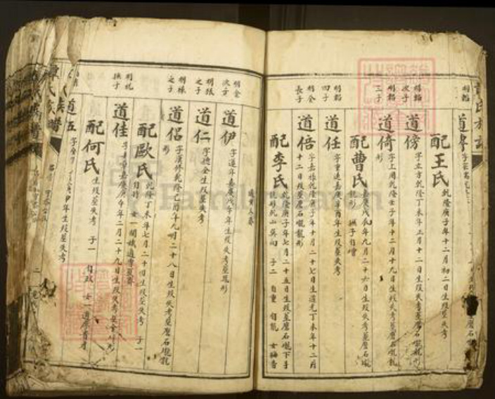 湖南省郴州市资兴市谭氏族谱-谭氏族谱.pdf电子版插图2