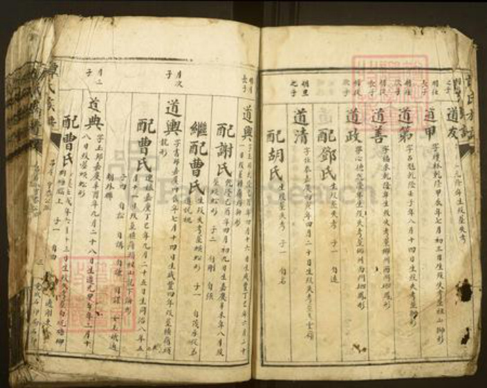 湖南省郴州市资兴市谭氏族谱-谭氏族谱.pdf电子版插图3